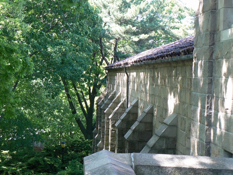 The Cloisters: The Cloisters 14
